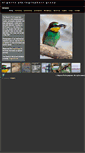 Mobile Screenshot of algarvephotographers.org